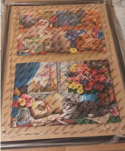 Photo of free New A1 Frame with Cat Puzzle (Smethwick) #1