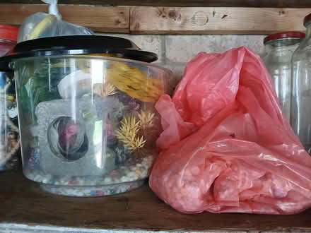 Photo of free Starter fish tank and accessories (Dawlish) #1