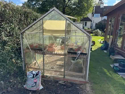 Photo of free 6x8 greenhouse (Churt GU10) #3