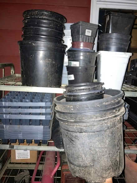 Photo of free Plastic plant pots (Avalon and Genesee) #1