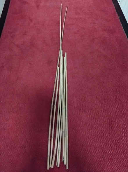 Photo of free Bamboo poles (Churchill Square area BN1) #2