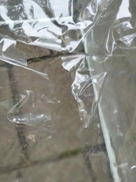 Photo of free Small Vegpod Polytunnel (Surbiton, KT6) #4
