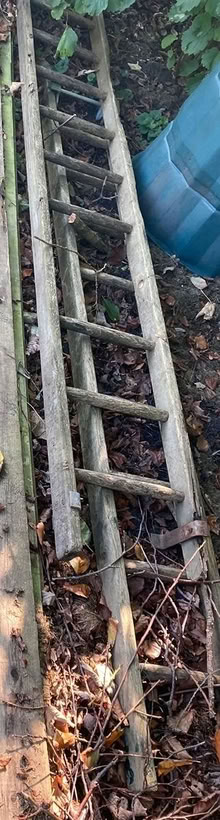 Photo of free wooden ladder missing rung (Lawnswood LS16) #1