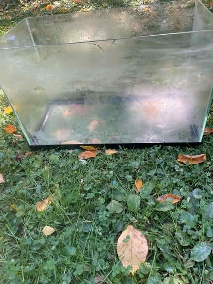 Photo of free 20 gallon aquarium (Mountain Lakes) #2