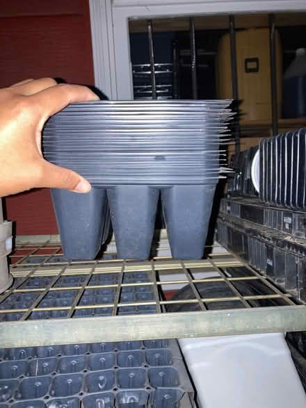 Photo of free Plastic plant pots (Avalon and Genesee) #2