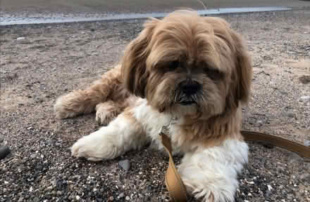 Photo of Old Belfast Sink / Square Pot Sink (Kendal Endmoor) #1
