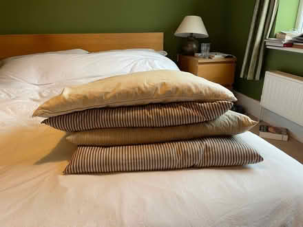 Photo of free 4 very elderly feather pillows (Walton Manor OX2) #1