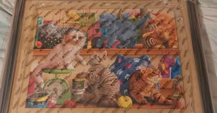 Photo of free New A1 Frame with Cat Puzzle (Smethwick) #3