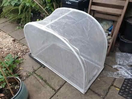 Photo of free Small Vegpod Polytunnel (Surbiton, KT6) #1