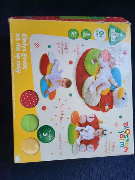 Photo of free Baby tummy time mat and inflatable ring (Reedham NR13) #1