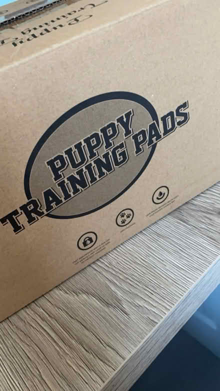 Photo of free Puppy/Senior Pads (Bloxwich WS3) #1