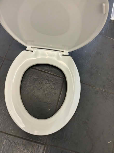Photo of free White toilet seat (L27) #2