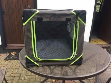 Photo of free Pet travel bag and car dog guard (Bunwell NR16) #4