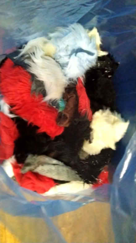 Photo of free Suitable arts crafts colourful fur fabric Material remnants (Delapre) #1