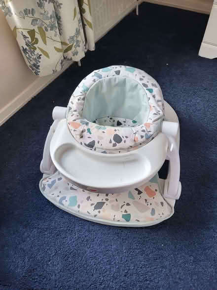 Photo of free Baby seat (Reedham NR13) #1