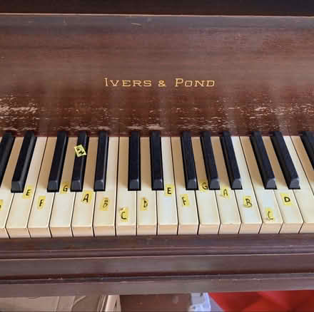 Photo of free Piano (Lake placid Florida) #2