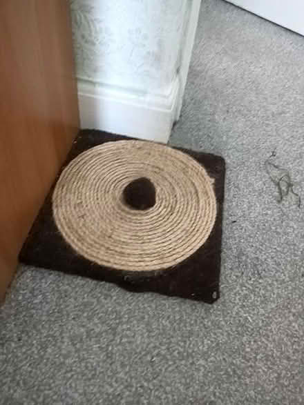 Photo of free Floor cat scratcher (Lower Walkley S6) #1