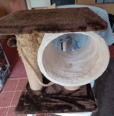 Photo of free Cat scratching post (Belper Town centre) #2