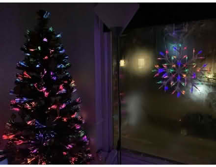 Photo of free Christmas tree (NW10) #1