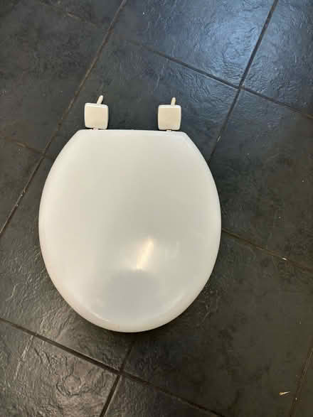 Photo of free White toilet seat (L27) #1
