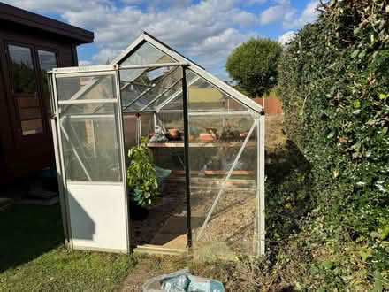 Photo of free 6x8 greenhouse (Churt GU10) #4