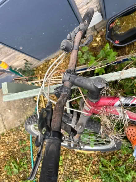 Photo of free Adults bike (Rodborough) #3