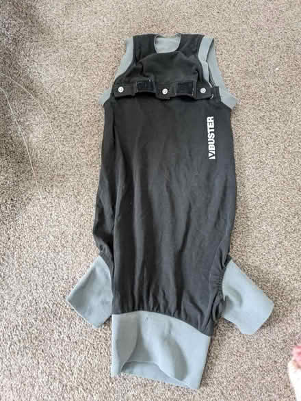 Photo of free Dog suit (Headington OX3) #1