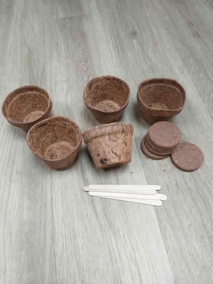 Photo of free Compostable plant pots (Heatherside) #1