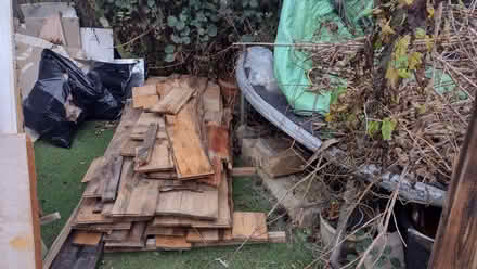 Photo of free Firewood (Iffley Road OX4) #1