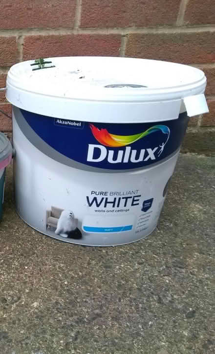 Photo of free White paint (Mickleover DE3) #1