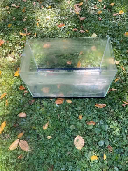 Photo of free 20 gallon aquarium (Mountain Lakes) #1