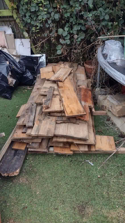 Photo of free Firewood (Iffley Road OX4) #2