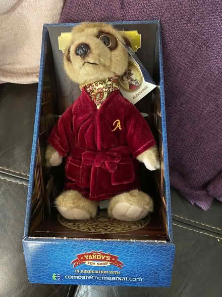 Photo of free Meerkat Alexander (Stanycliffe M24) #1