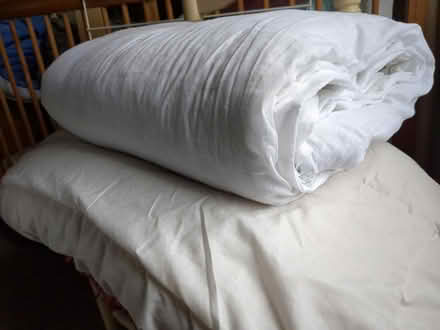 Photo of free 2 double duvets (Belper DE56) #1