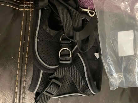 Photo of free cat or rabbit harness and lead (Stanycliffe M24) #1