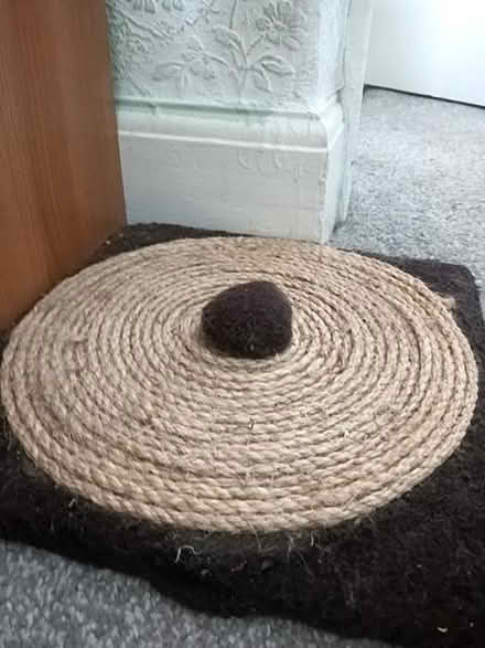 Photo of free Floor cat scratcher (Lower Walkley S6) #2