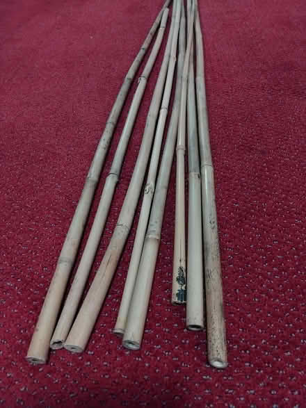Photo of free Bamboo poles (Churchill Square area BN1) #1