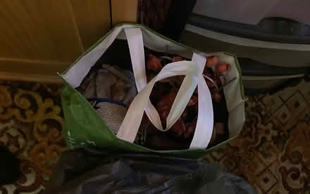 Photo of free Fairylights and Other Bits (Ravensden MK44) #1