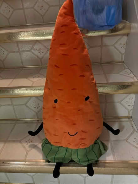 Photo of free Ikea Stuffed Carrot Toy (South Sterling Heights) #1