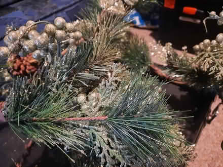 Photo of free Christmas Garland Approx 5ft Long (Gosport PO12) #2