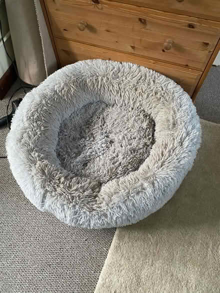 Photo of free Large dog bed (Great Bourton, OX17) #1