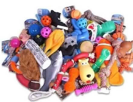 Photo of Dog toys & equipment (Kempston West End MK43) #1
