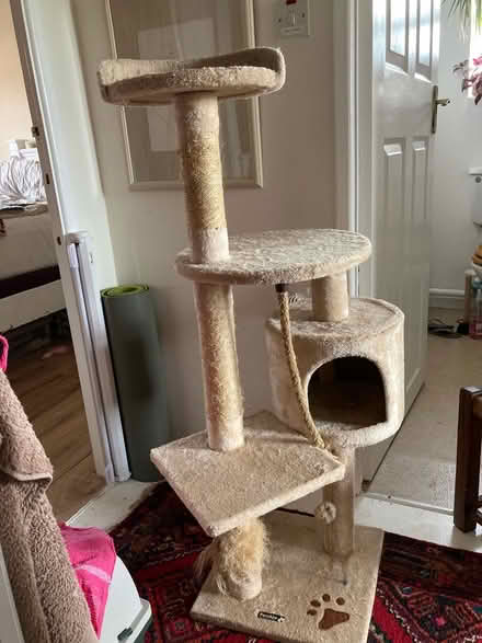 Photo of free Cat tree (Glastonbury BA6) #2