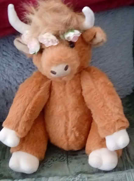 Photo of free Highland Cow soft toy. (Cosham PO6) #1