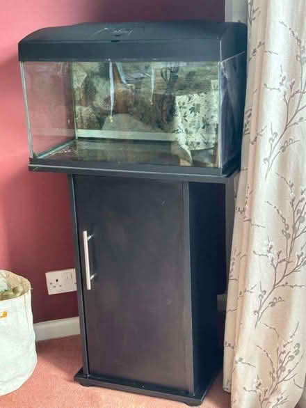 Photo of free Fish Tank (Kingsway) #1