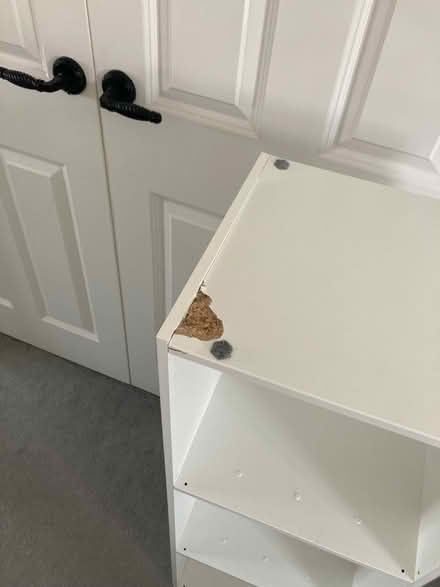 Photo of free White cube storage unit (Biddenham, Bedford) #3