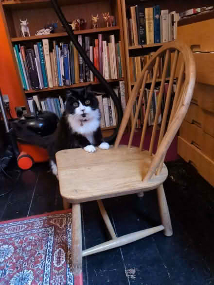 Photo of free Old Ercol-style nursing chair (Skerton LA1) #2