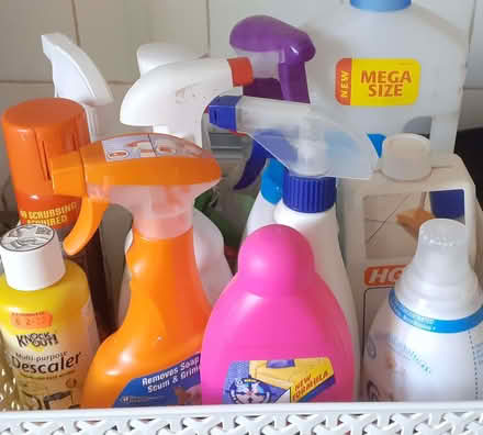 Photo of free Cleaning products (Heartsease NR7) #4