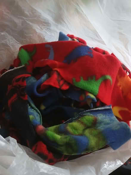Photo of free Bag of polar fleece scraps (Walkley S6) #1