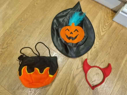 Photo of free Halloween items (Arborfield Garrison RG2) #1